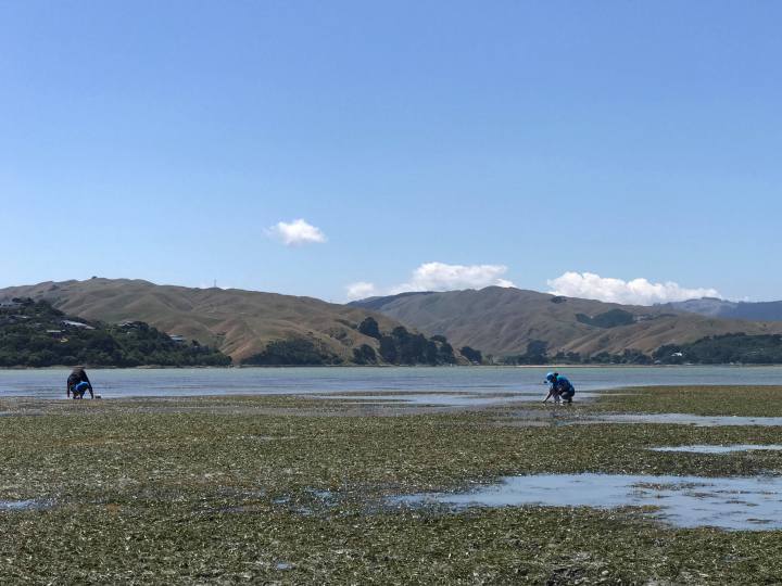 27836460_1856060541134325_808366652_o