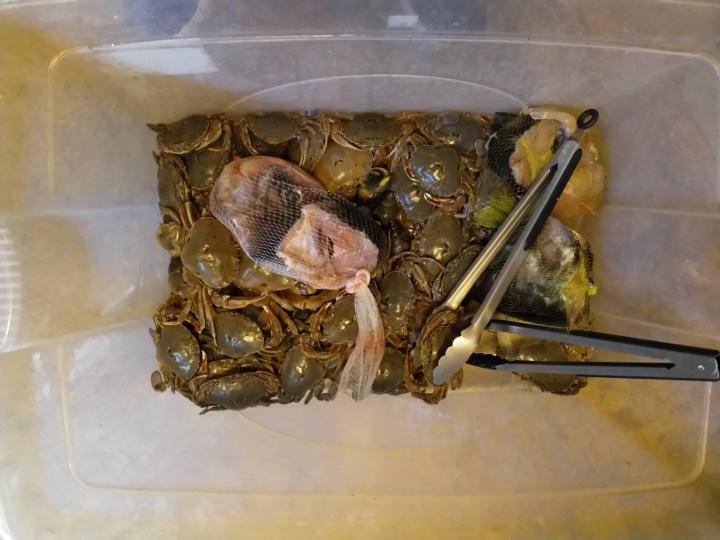 43610068_1907855372640588_7351770957368786944_o