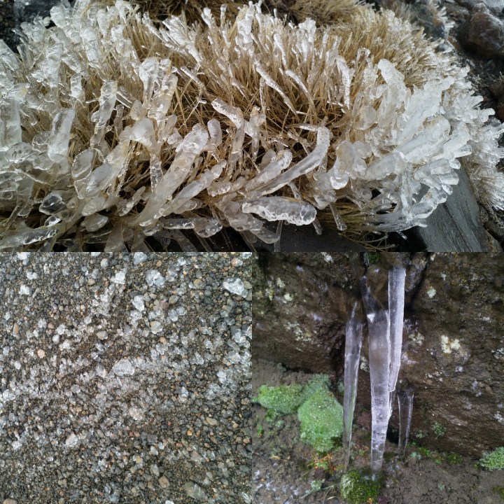 PhotoEditor_20190602_135355735