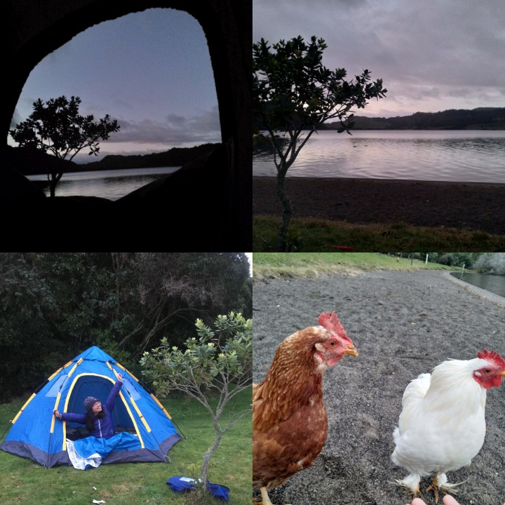 PhotoEditor_20190627_120842322