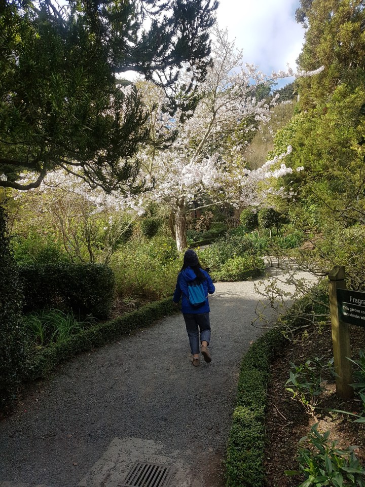 70056911_2455316424561144_707035583532236800_o