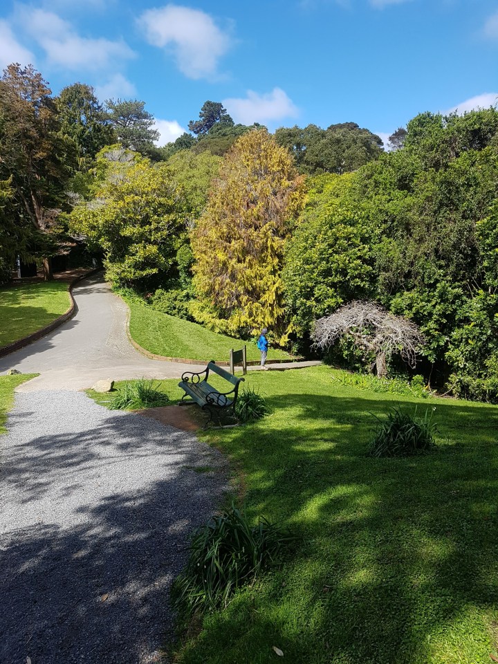 71496676_2455316381227815_4908850502080397312_o